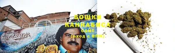 PSILOCYBIN Ладушкин