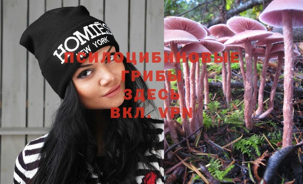 PSILOCYBIN Ладушкин